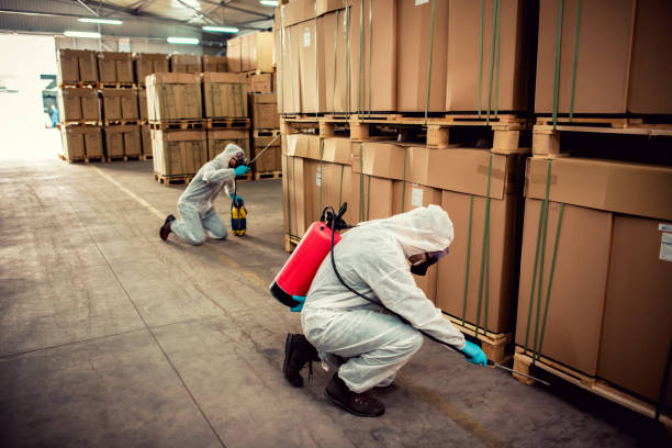 Best Termite Control Services  in Seneca, KS