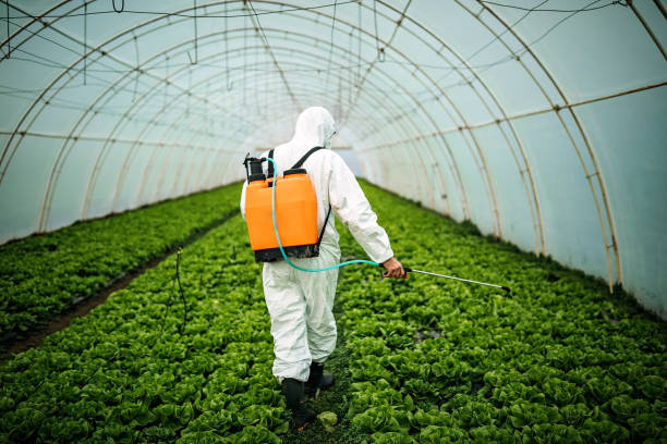 Best Pest Control for Homes  in Seneca, KS