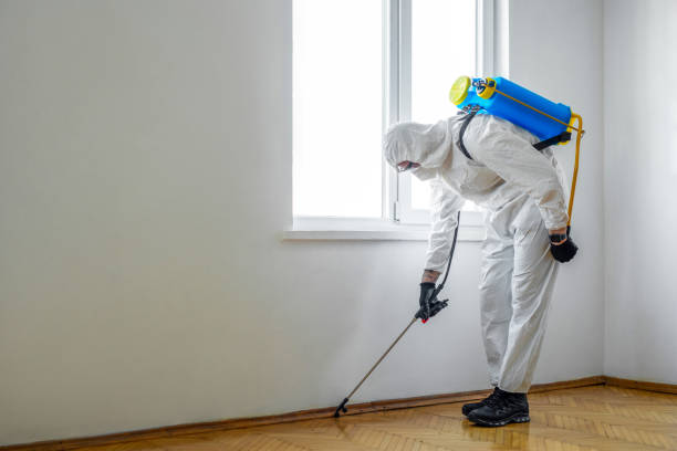 Best Exterminator Services  in Seneca, KS