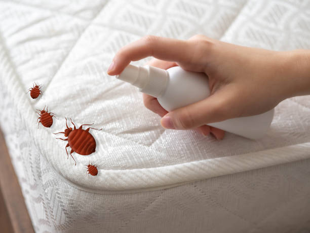 Best Best Pest Control Near Me  in Seneca, KS