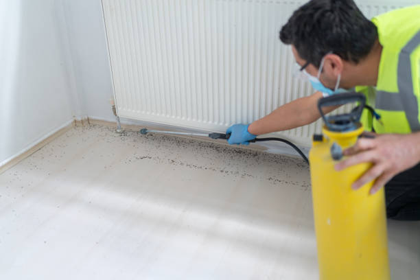 Best Wasp Removal Services  in Seneca, KS
